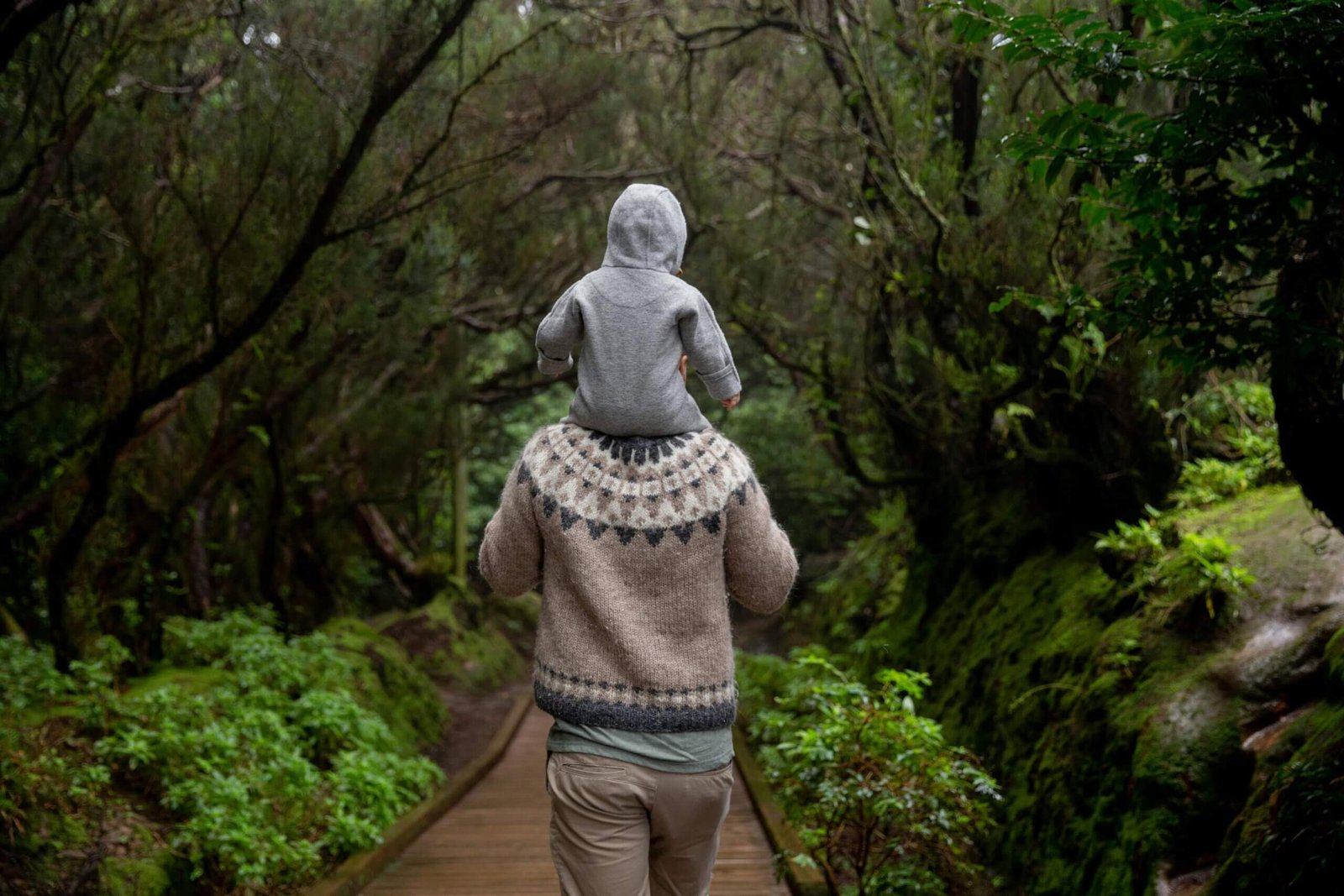 père avec son jeune enfant sur les épaules, de dos, avançant sur un chemin dans la forêt